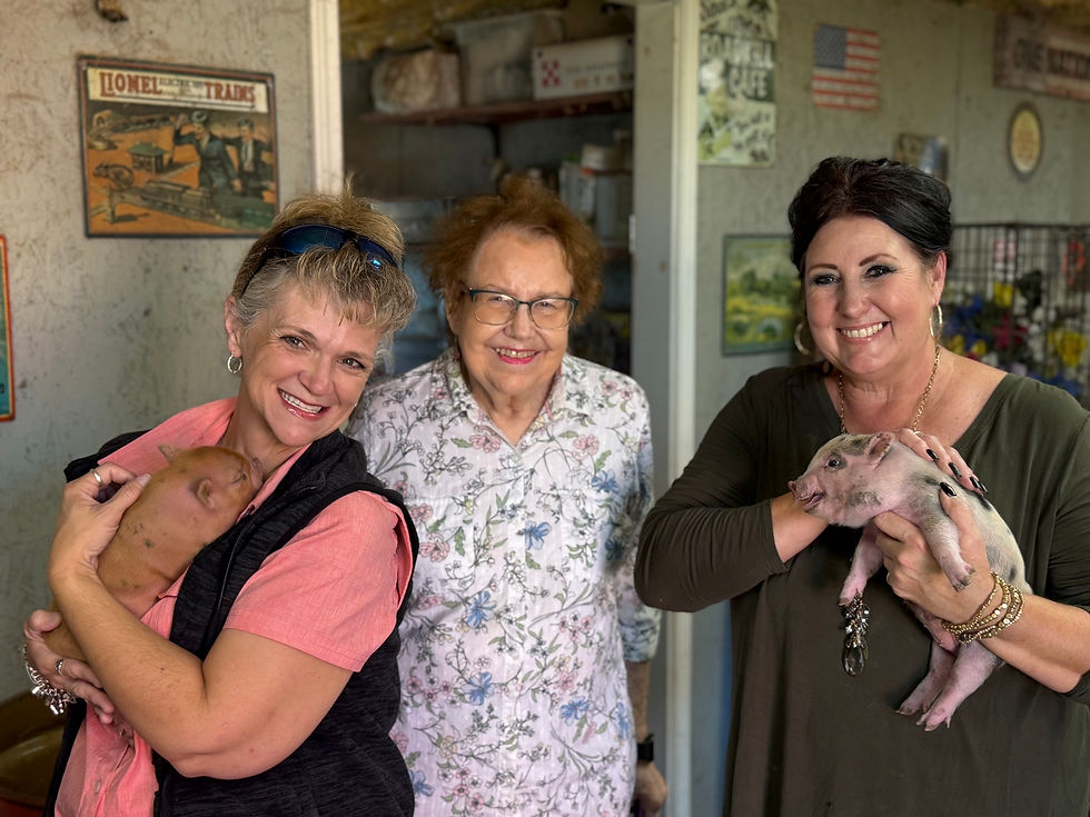 Added two new babies for our Petting Zoo! Juliana piglets!