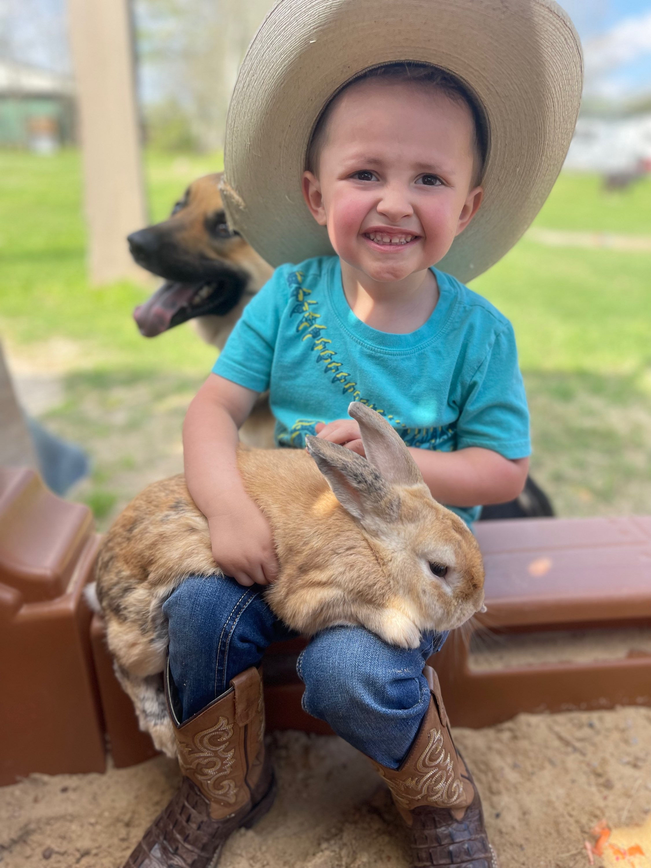 Petting Zoo