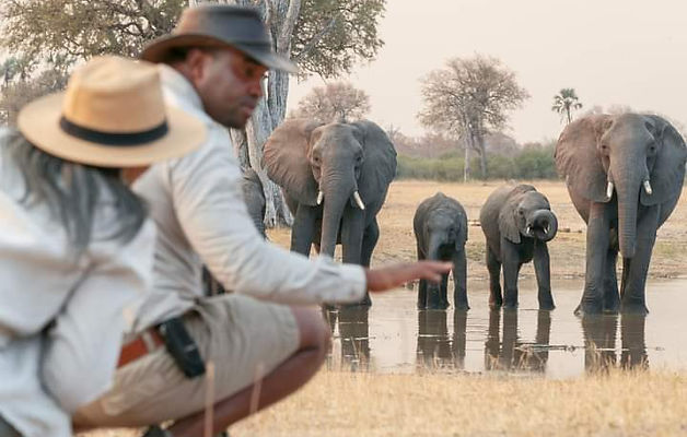 WhatsApp Image 2024-08-24 at 17.08.09(2).jpeg