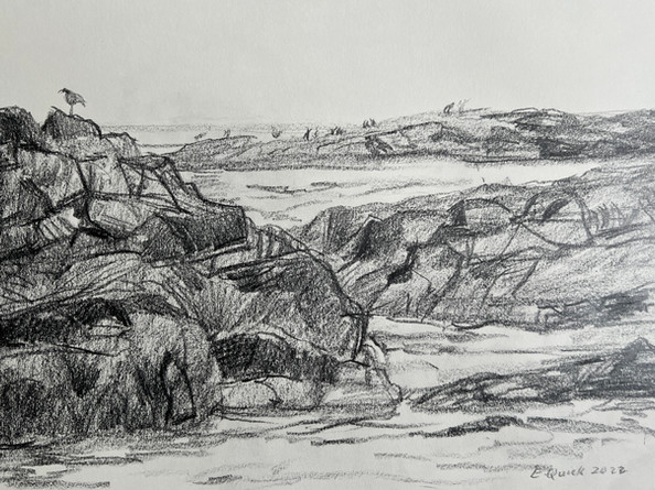 Rocky Shore #7, 17_ x 11_, pencil on paper, 2022