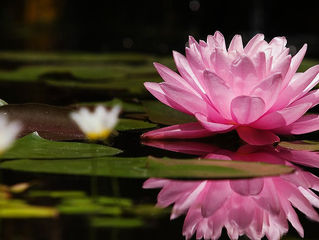 Silêncio e Serenidade