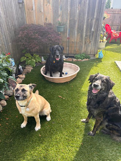 514248736_10213071669783909_4832397450388548254_n