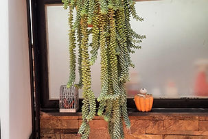 WhatsApp Image 2023-10-07 at 3.51.38 PM.jpeg