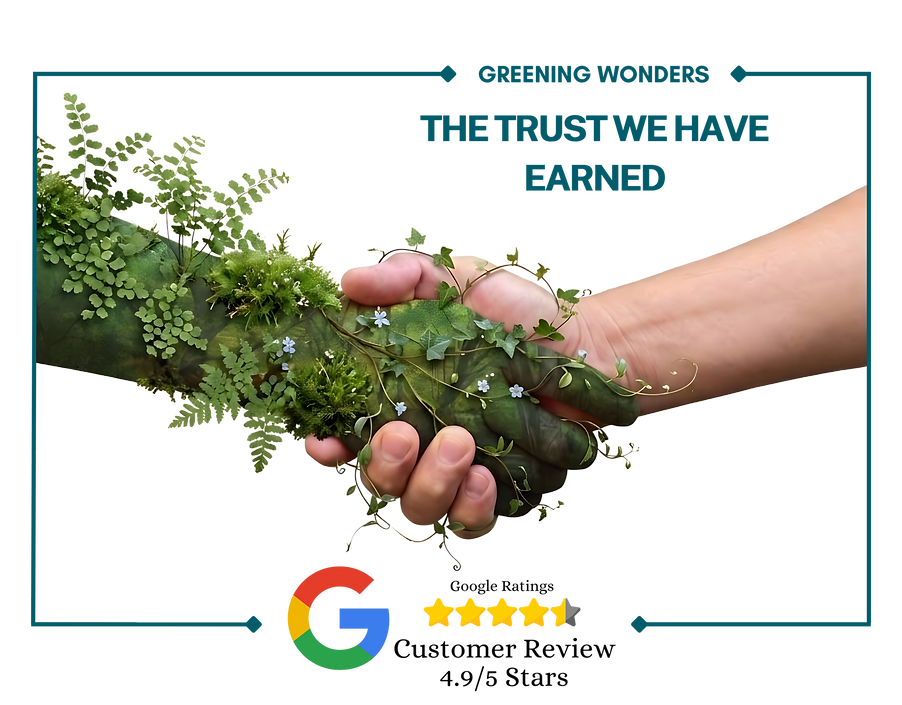 trust (4).png
