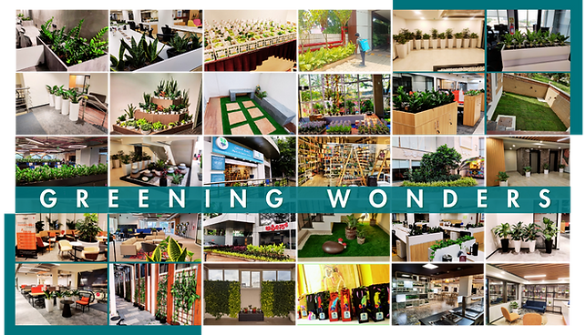 About Us Greening Wonders