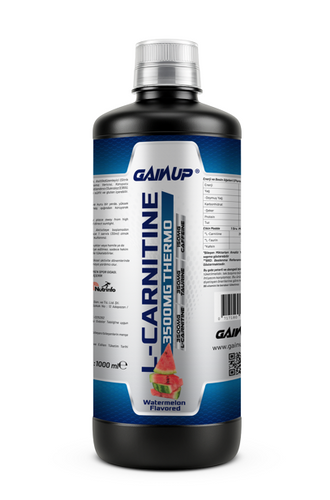 mic l-carnitine Gainup Thermo L-Carnitine 3500mg 1000ml