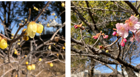 OpenSim寺子屋のHP開設しました!