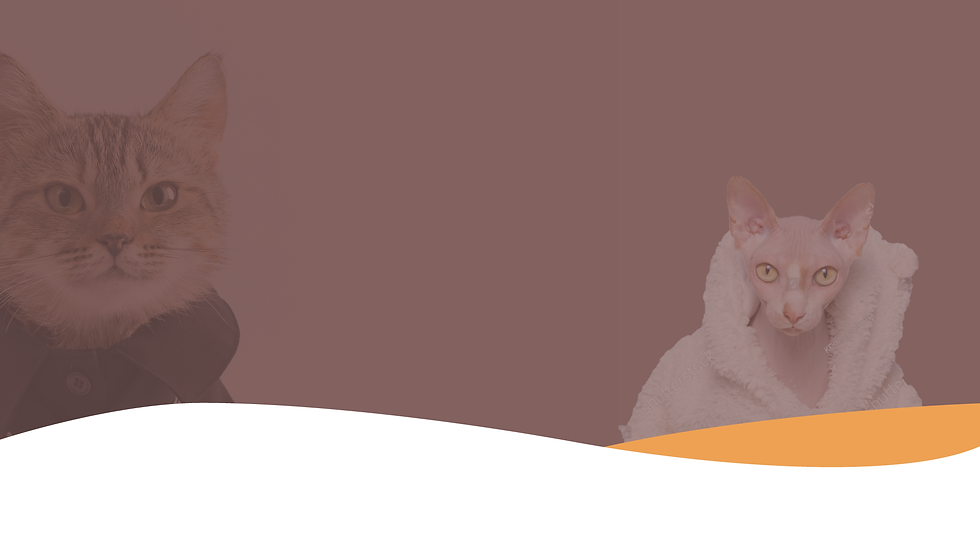 Catwalk Soybean Cat Litter. 100% Natural. Low Tracking. Flushable. Odor Control