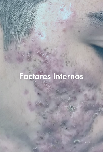 Captura de pantalla 2025-08-08 a la(s) 2.58.50 p.m..png