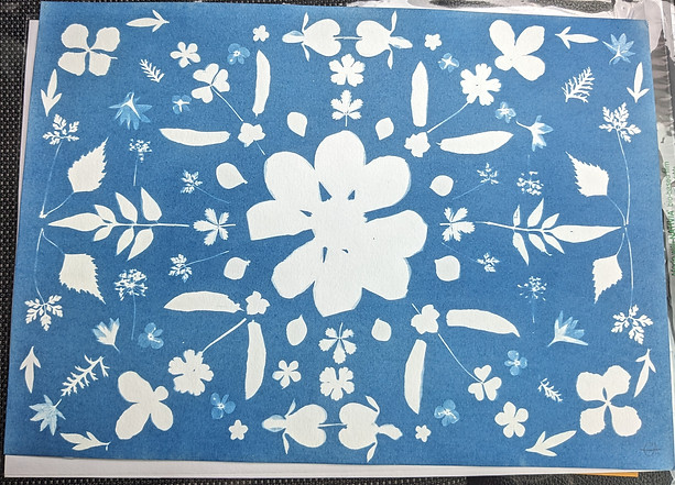 Emily Arnold - Nature's Patterns.jpg