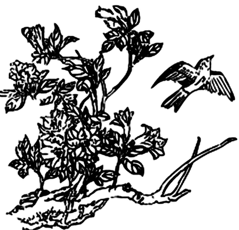 logo (2)_edited.png