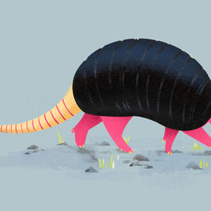 Armadillo