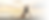Banner Photo.png