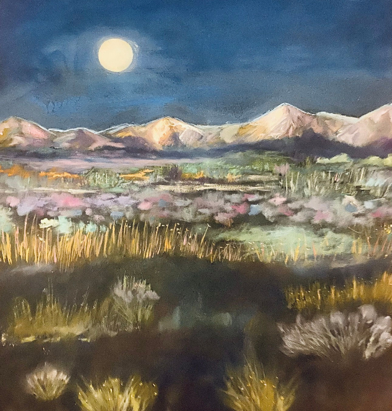 Desert Dreams