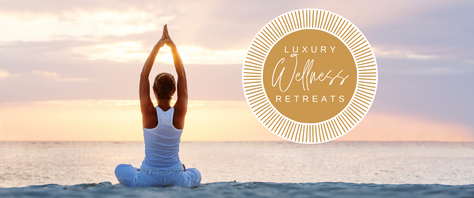Sanctuary of Self-Discovery: A Wellness Retreat for Professionals