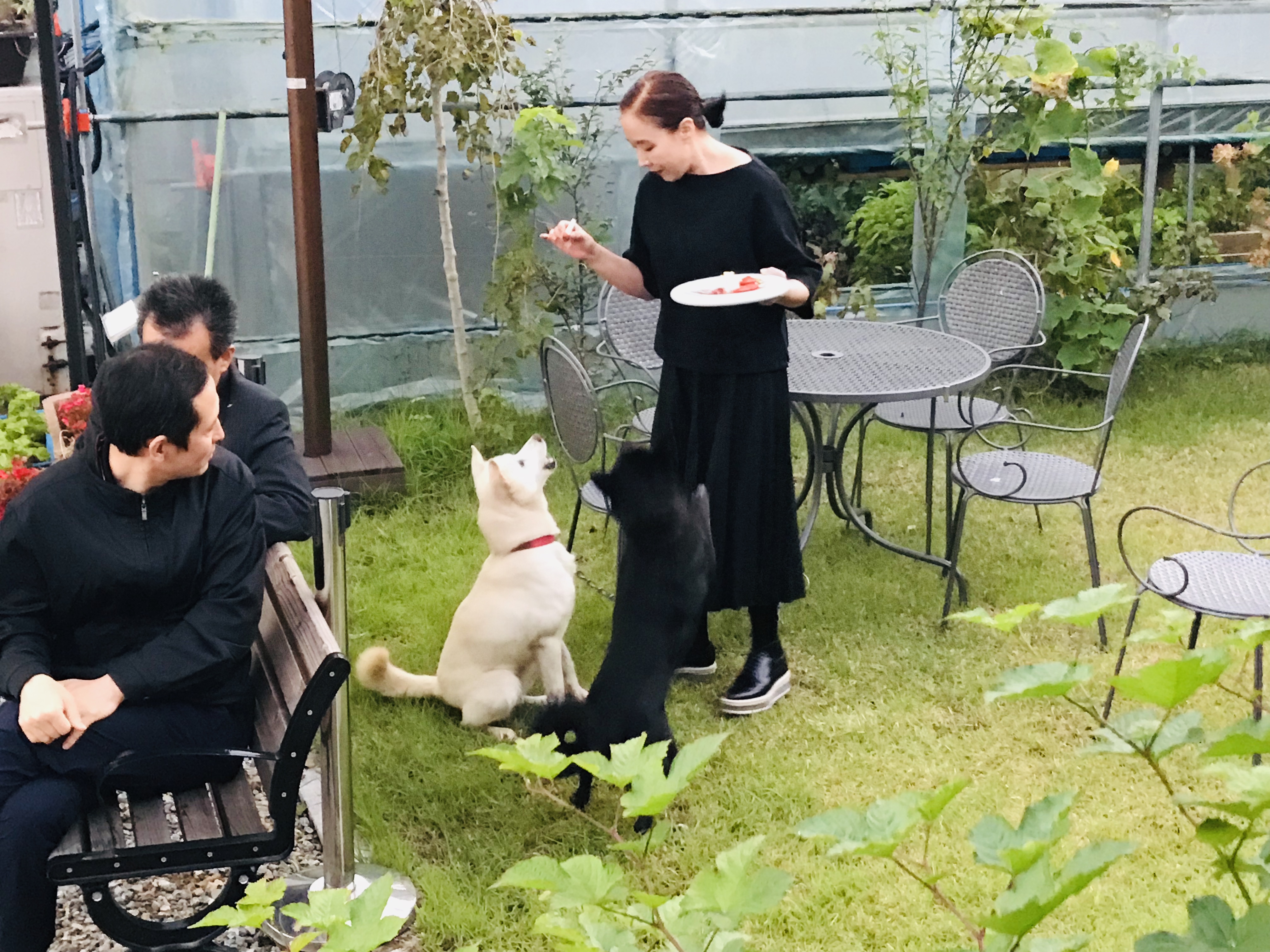 영화배우 강수연씨의 로즈마리 사랑