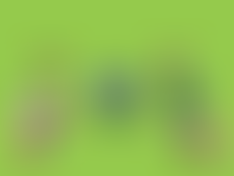 Canberra Raiders 2021 Season Preview
