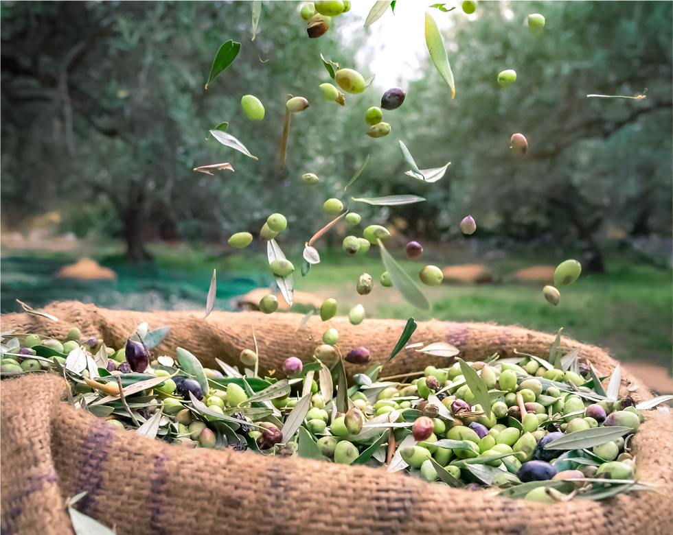 olives