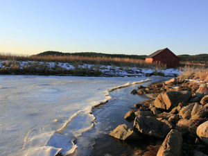 CCI nov 2023: Ny nedgang i forbrukertilliten