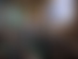 Midlife Festival crowd day 1