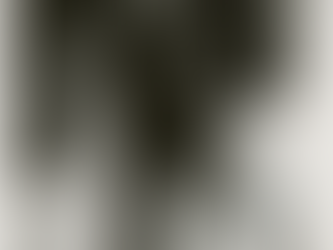 Black History & LGBTQ+ History Month! : Remembering Sylvester