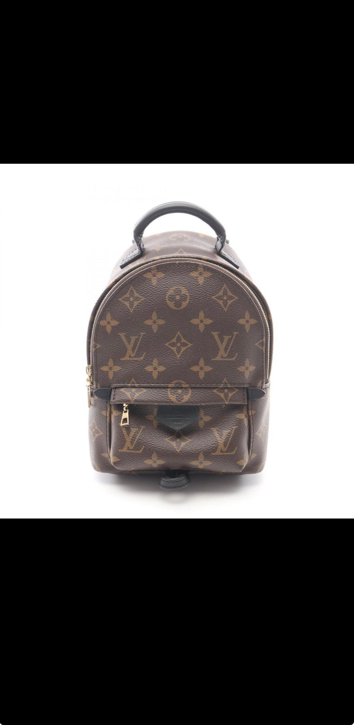 Louis Vuitton Palm Springs Backpack Mini Monogram Rucksack Bag