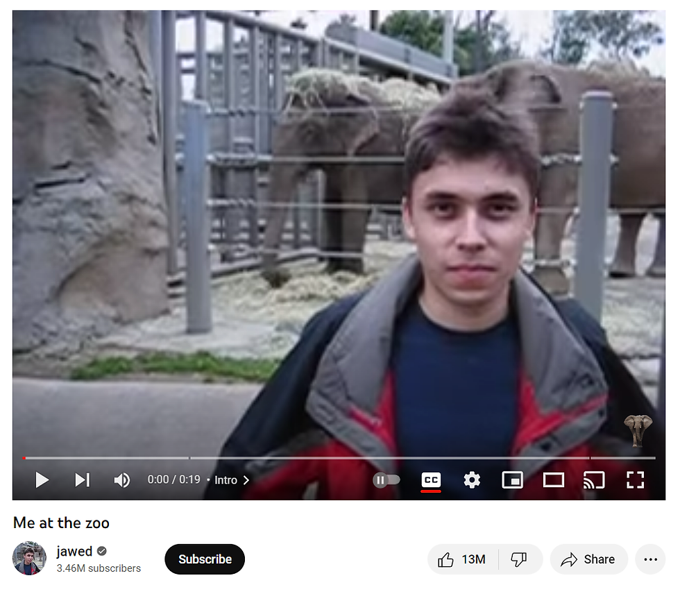 Me at zoo