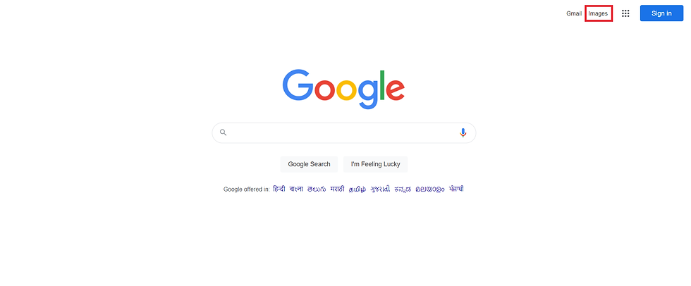 Image tab - Google reverse image search