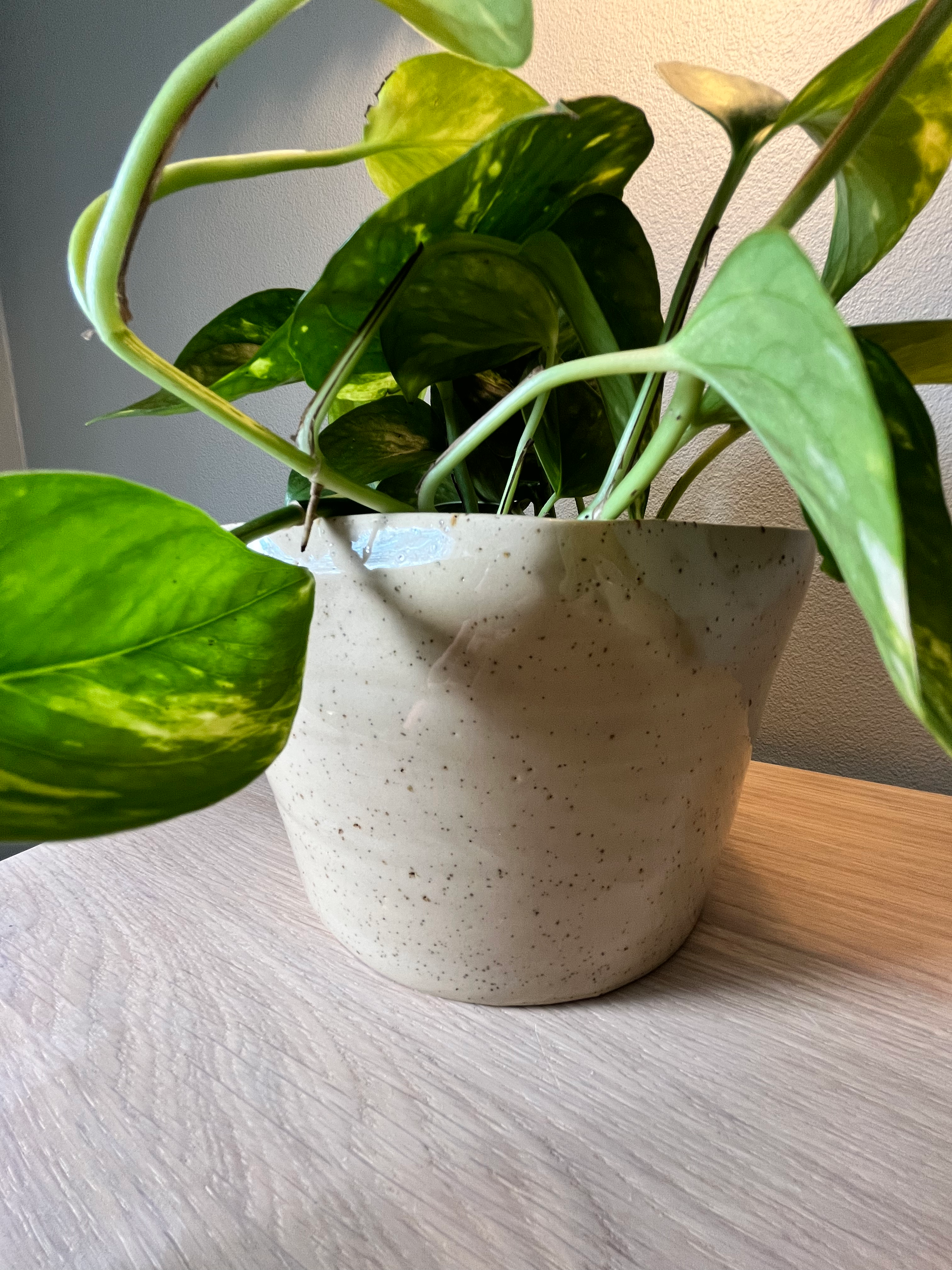Bølgete blomsterpotte