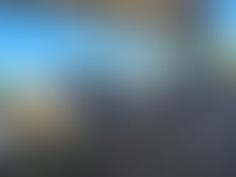 Seleção Genética de Nelore: Garantindo Proveniência e Performance