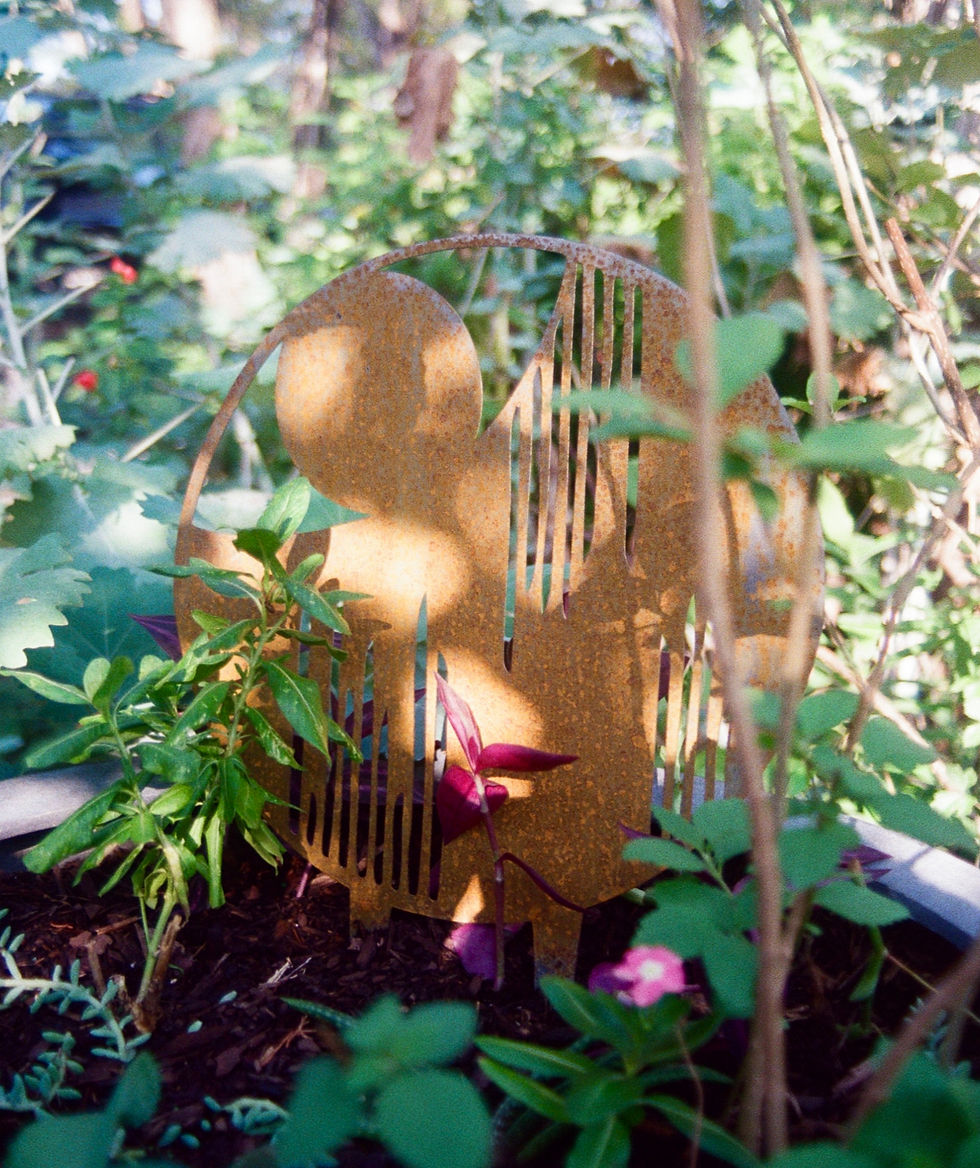 Lume Plant Stake