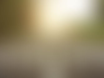 Embrace resilience, Reap the rewards