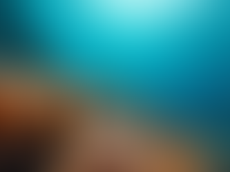 Andaman Diving Season Guide: Best Season for Scuba Diving in Havelock