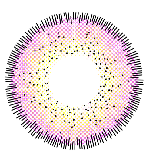 Thumbnail: IFAIRY NOBLUK SERIES 16.2MM