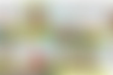Industry News Update 03.17.2022