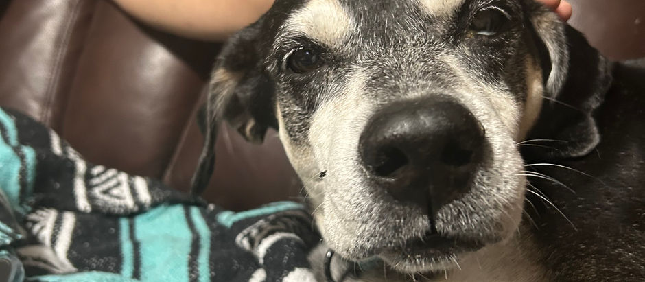 "The Boxes We Carry"