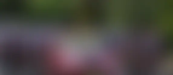 Who's Got Your Back?