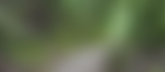 Don’t swim alone - Lessons from the Camino – Sometimes It Feels All Uphill.