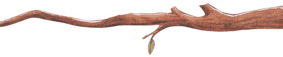 bookburrowcafe_edited.png