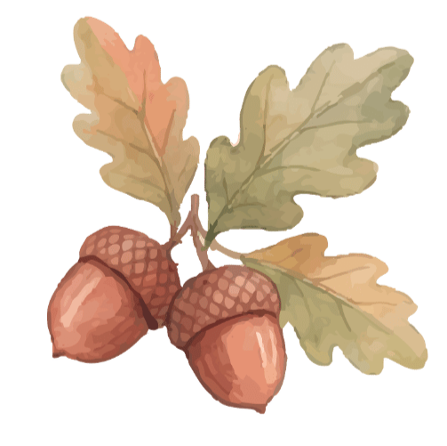 bookburrowcafe_edited.png