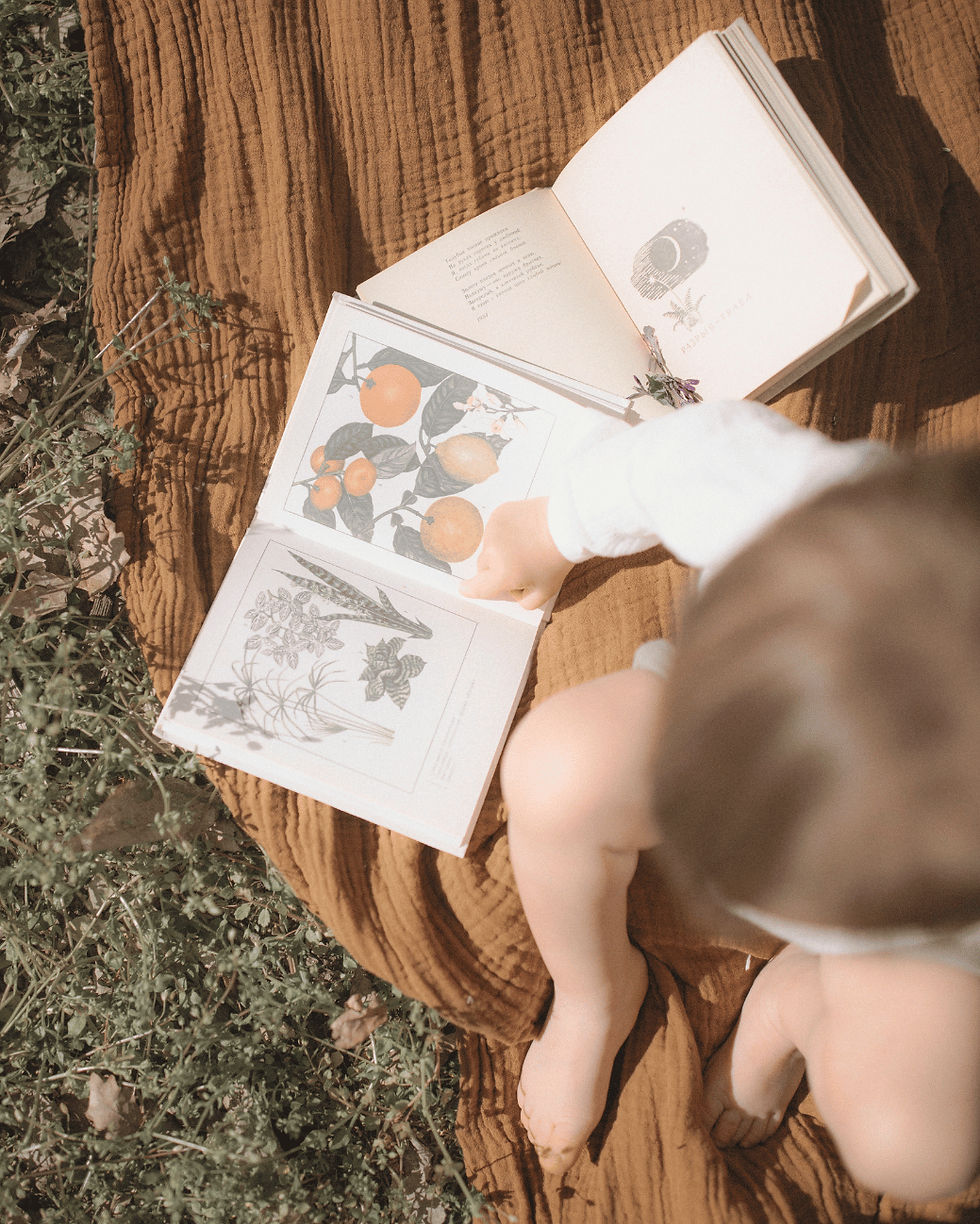 Storytime (1-5)