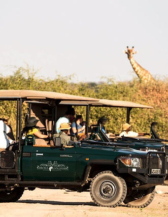 exploring the Moremi Game Reserve.jpg
