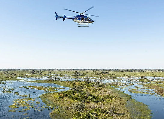 Screenshot 2025-08-21 104747.jpg