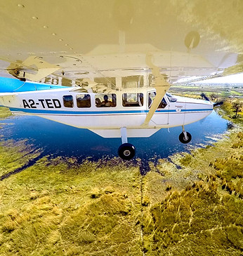 delta air oddballs5.jpg