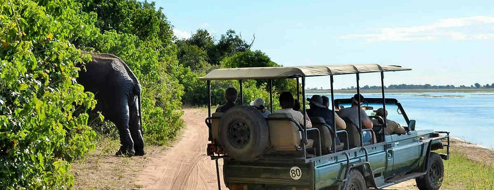 jackalberry gamedrives3.jpg