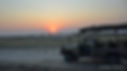 DSC_0838.jpg