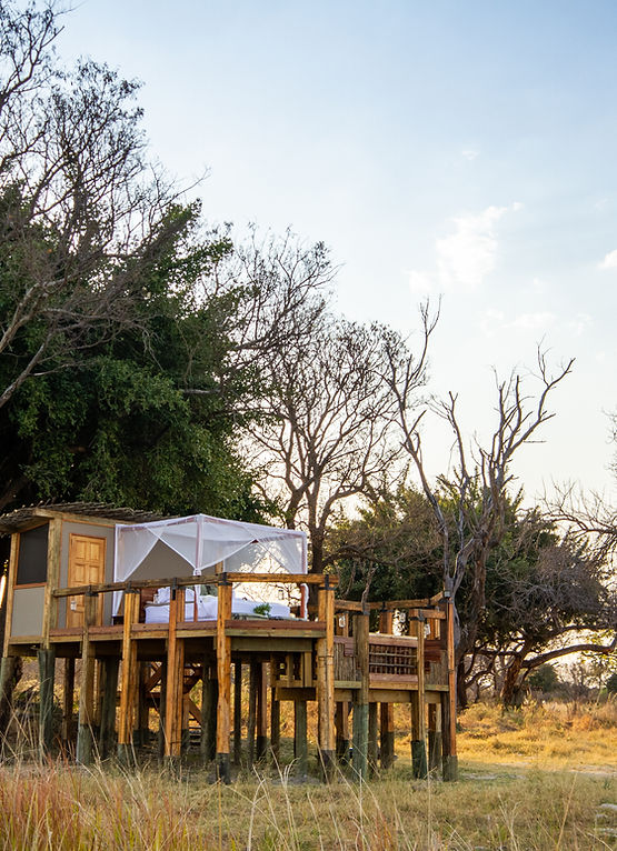 The sleep out deck at Camp Okavango