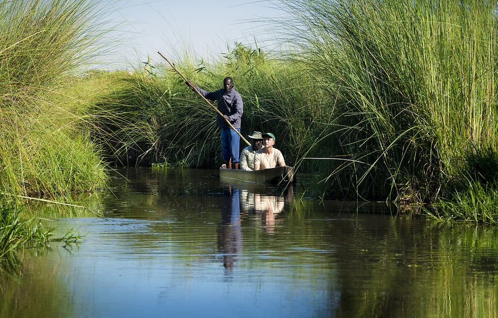 Traditional mokoro excursions