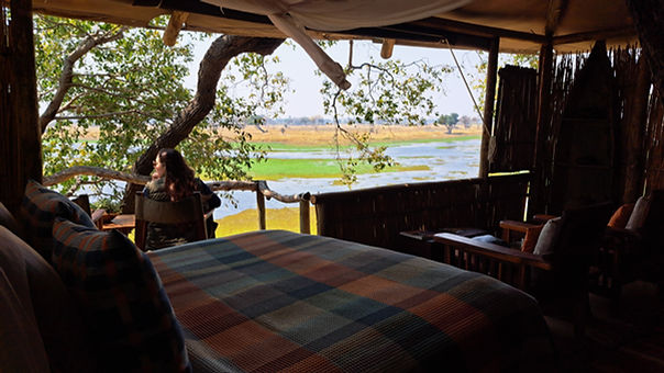 The view from Delta Camp's Treehouse room