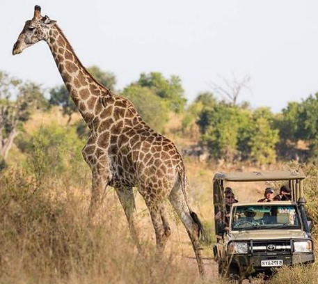 chobe luxury camping 7_edited.jpg